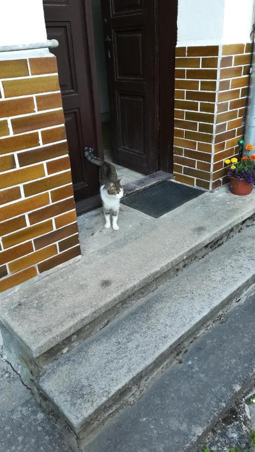 Pronajem Pokoju Belle Vue Daire Vranov nad Dyjí Dış mekan fotoğraf