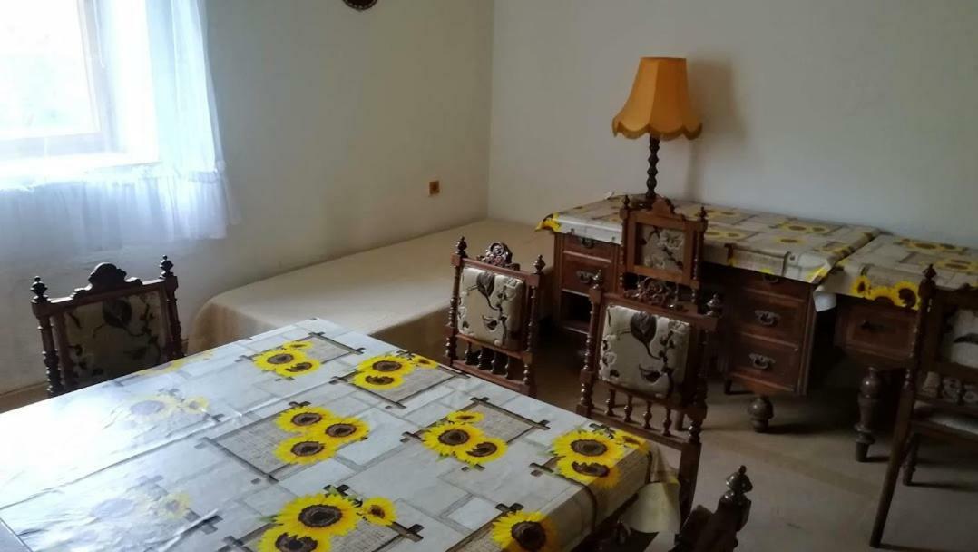 Pronajem Pokoju Belle Vue Daire Vranov nad Dyjí Dış mekan fotoğraf
