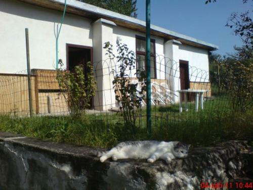 Pronajem Pokoju Belle Vue Daire Vranov nad Dyjí Dış mekan fotoğraf