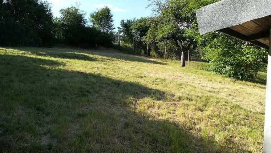 Pronajem Pokoju Belle Vue Daire Vranov nad Dyjí Dış mekan fotoğraf