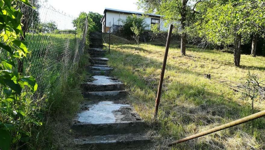Pronajem Pokoju Belle Vue Daire Vranov nad Dyjí Dış mekan fotoğraf
